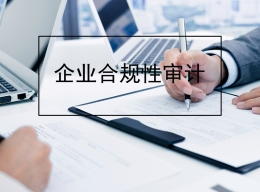 企業合規性審計